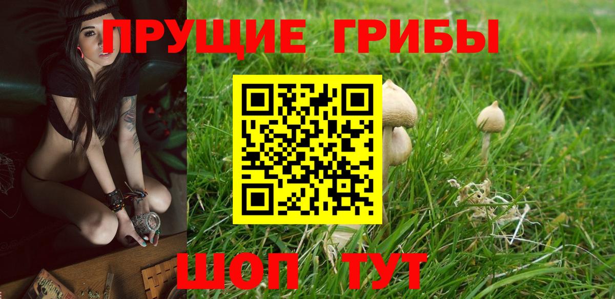 Псилоцибиновые грибы MAGIC MUSHROOMS Кимовск